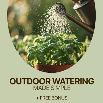 Outdoor Plant Watering: Deep Soaks, Soil & Seasons